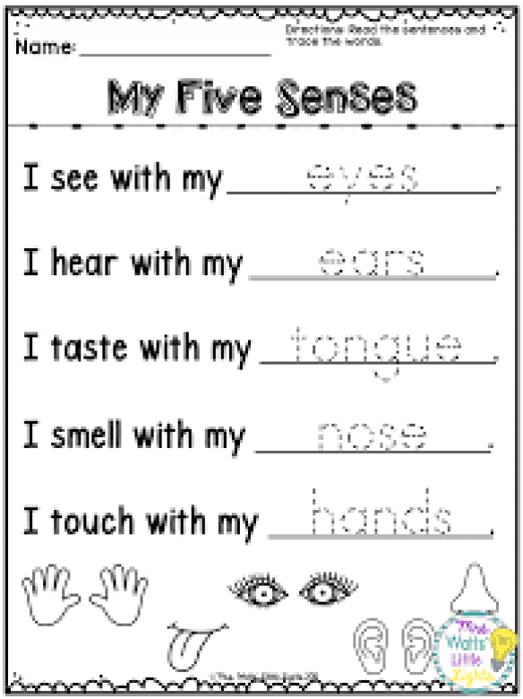 Coloring Five Senses Worksheets For Preschool Pdf