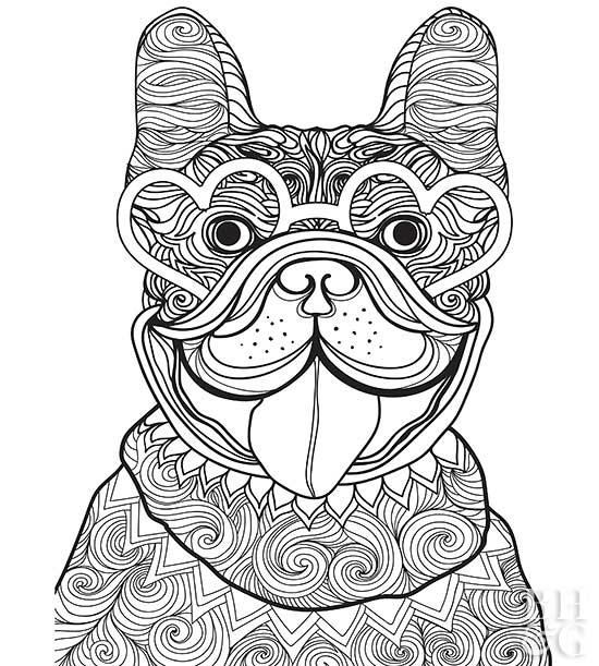 Dog With Sunglasses Coloring Pages