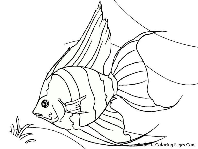 Tropical Fish Printable Fish Coloring Pages