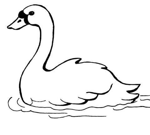 Swan Coloring Page For Kids