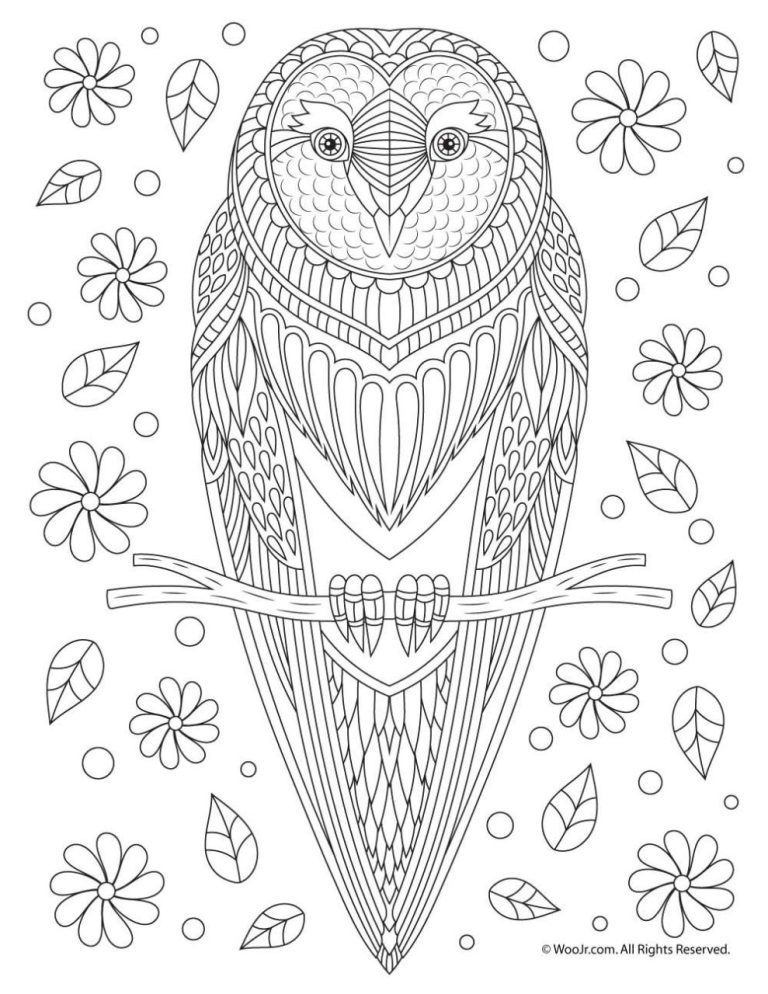 Mindfulness Colouring Birds