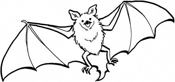 Bat Coloring Picture