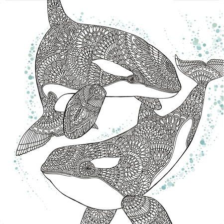 Baby Orca Coloring Pages