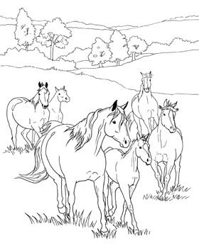 Colouring Horse Stable Drawing