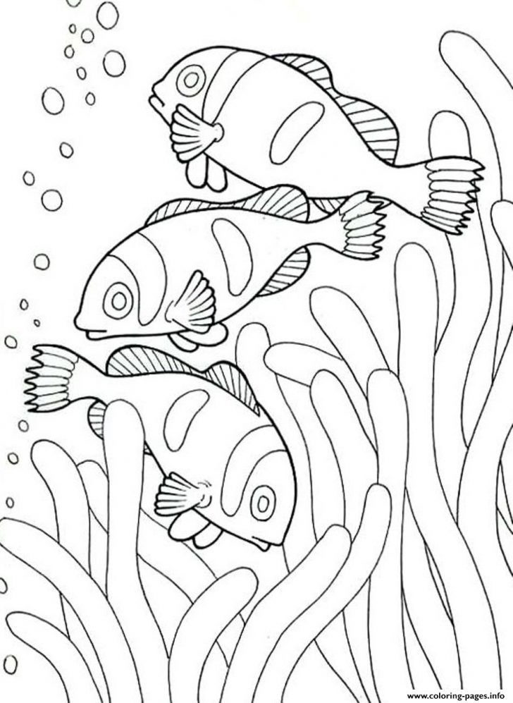 Sea Life Ocean Animals Coloring Pages