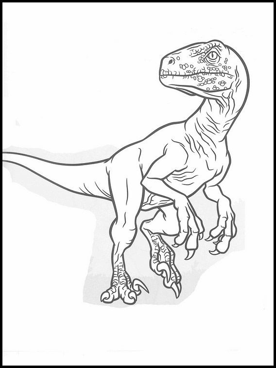 Raptor Realistic Dinosaur Coloring Pages