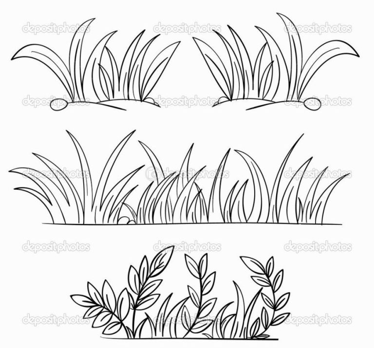 Clipart Grass Coloring Page