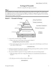 Comparing Ecological Pyramids Worksheet Answers