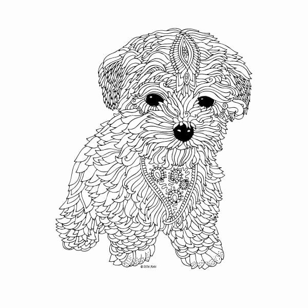 Cute Printable Coloring Pages Hard
