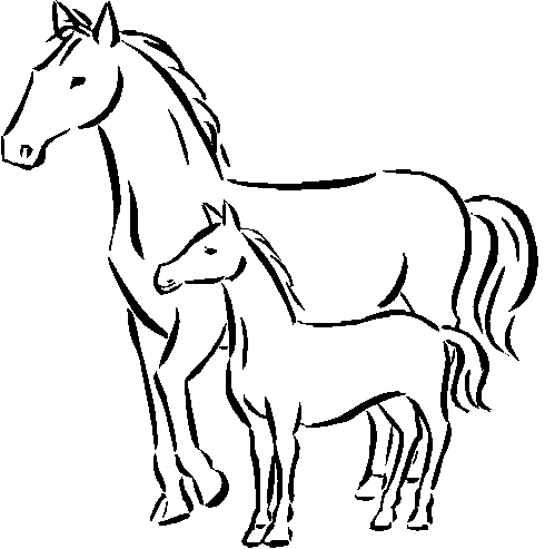Easy Baby Horse Coloring Pages
