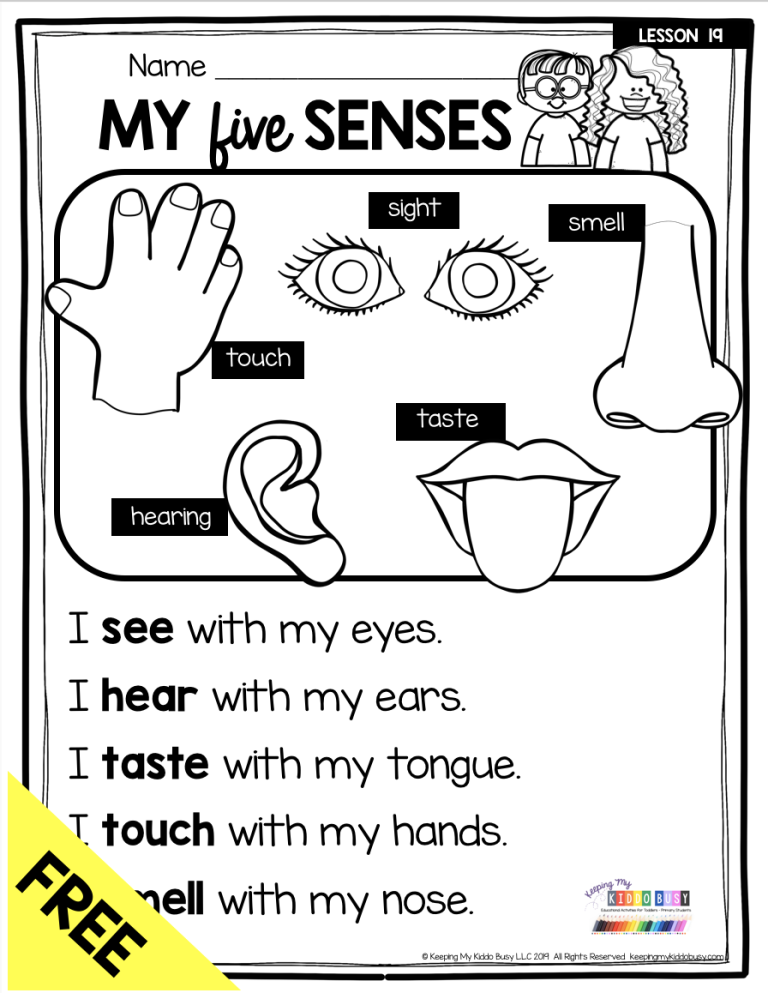 My Five Senses Worksheets For Preschoolers