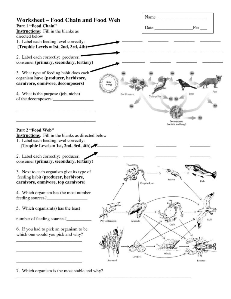 Food Webs And Food Chains Worksheet Pdf Answer Key