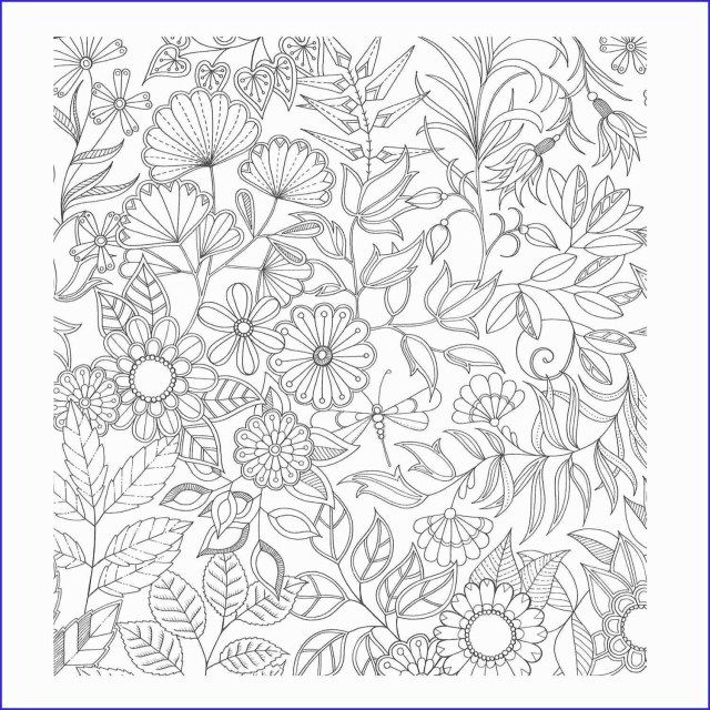 Enchanted Forest Secret Garden Coloring Pages