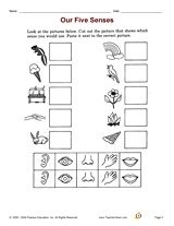 Five Senses Worksheets For Kindergarten Pdf