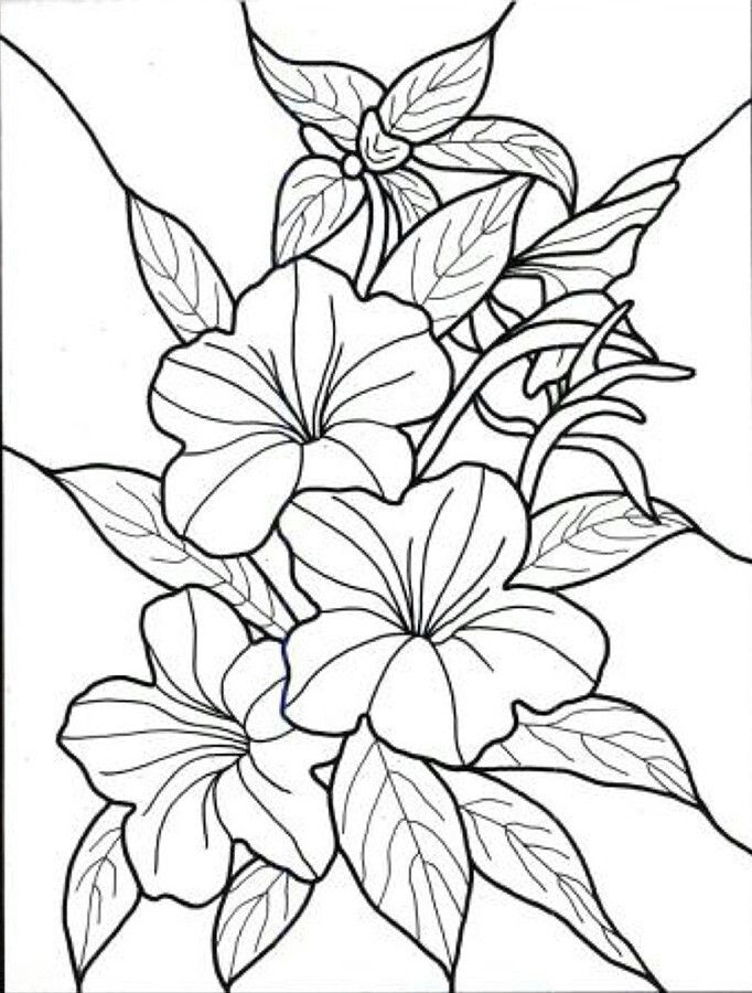 Tropical Flower Free Printable Flower Coloring Pages