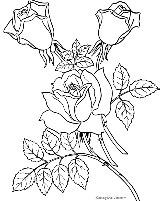 Rose Free Printable Flower Coloring Pages