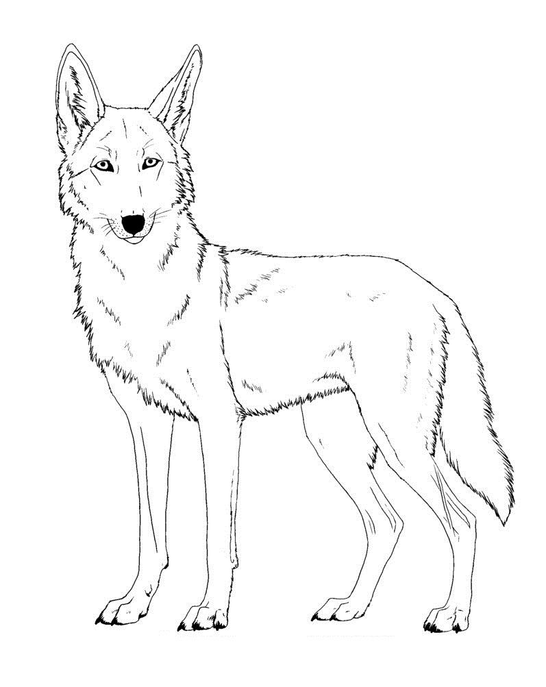 Twilight Coloring Pages To Print