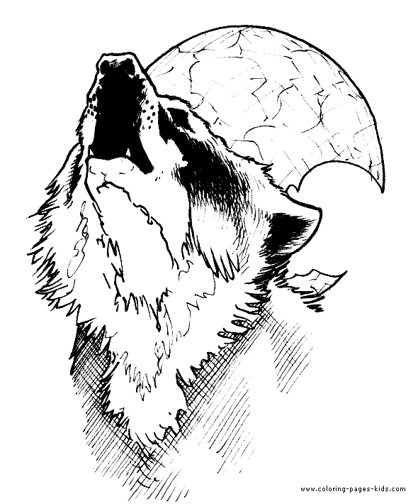 Wolf Coloring Sheet For Kids