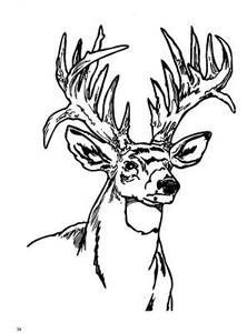Elk Hunting Coloring Pages