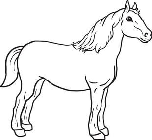 Printable Horse Pictures To Print Out