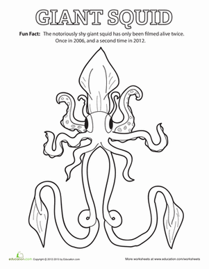 Cute Squid Coloring Page