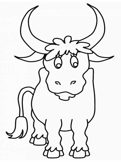 Printable Bull Coloring Pages