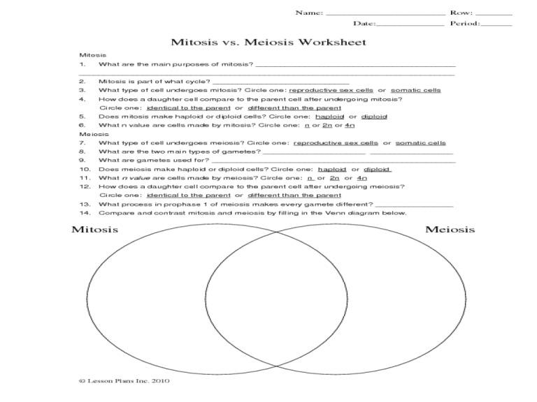 Mitosis And Meiosis Diagram Worksheet Answers