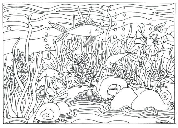 Aquarium Coloring Pages For Kids