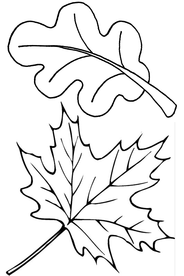 Autumn Leaves Fall Coloring Pages For Kids