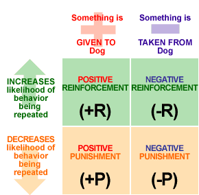 Elements Of Classical Conditioning Worksheet Answers