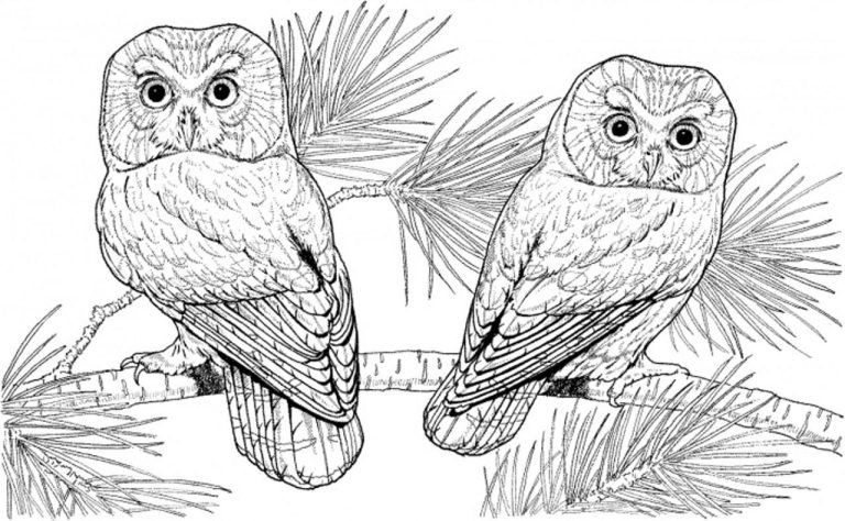 Animal Hard Coloring Pages For Kids