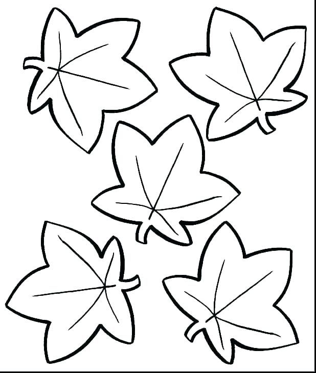 Autumn Fall Leaves Coloring Pages