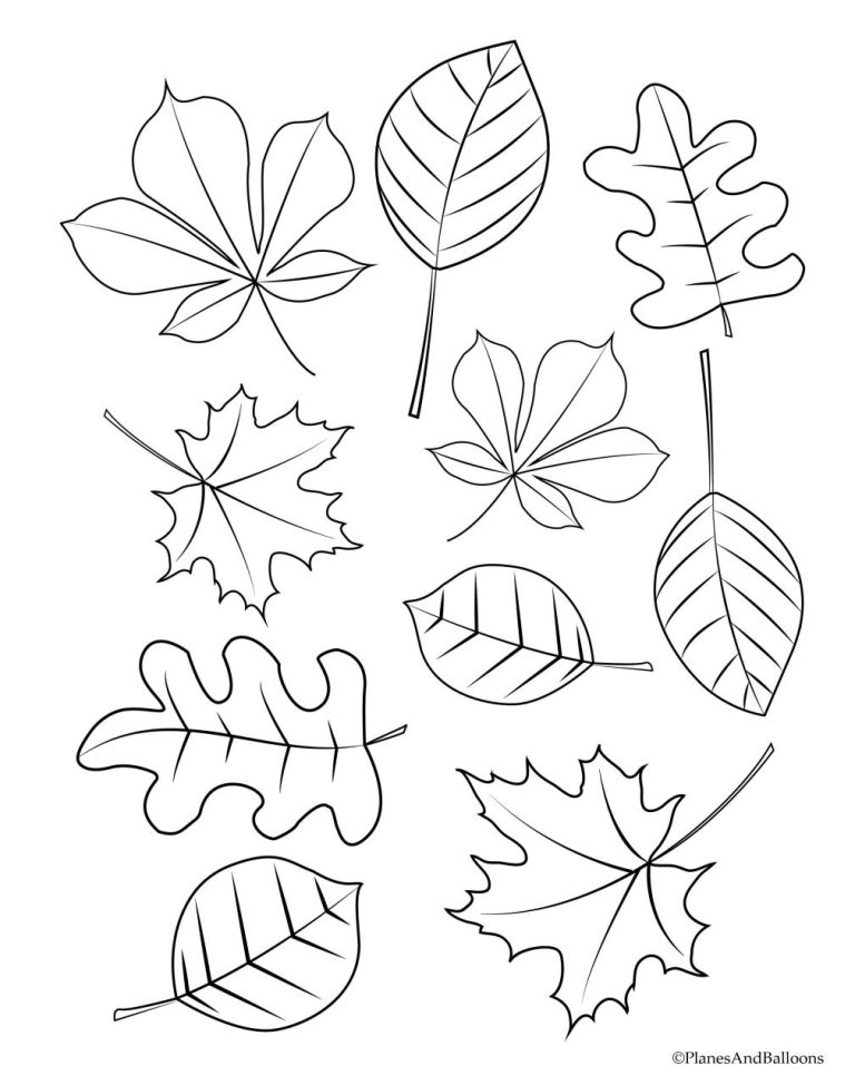 Autumn Leaves Coloring Pages Free