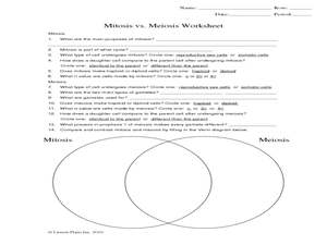 Mitosis And Meiosis Worksheet Answers Pdf