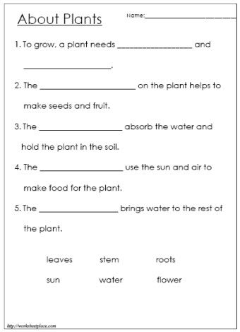 3rd Grade Science Worksheets For Grade 2 Plants
