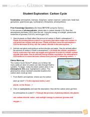 Modeling The Carbon Cycle Worksheet Answers