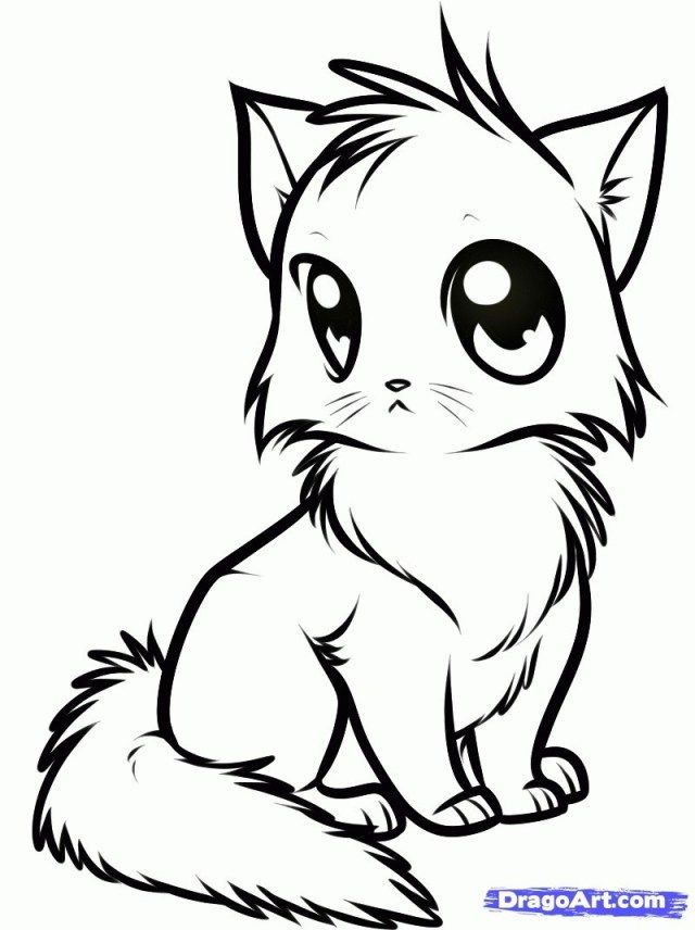 Anime Cute Cat Coloring Pages