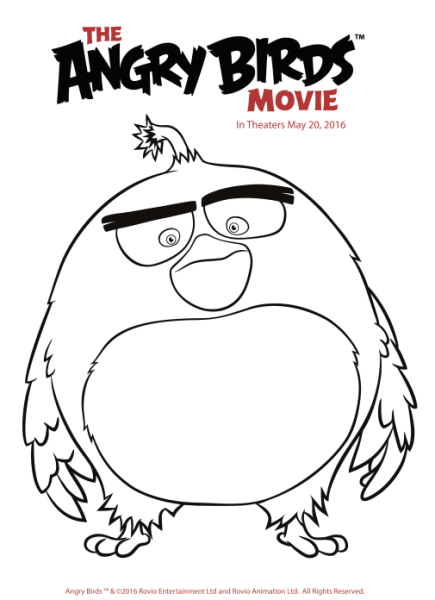 Angry Bird Coloring Pages For Kids