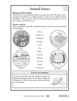 3rd Grade Science Worksheets For Grade 3 Animals