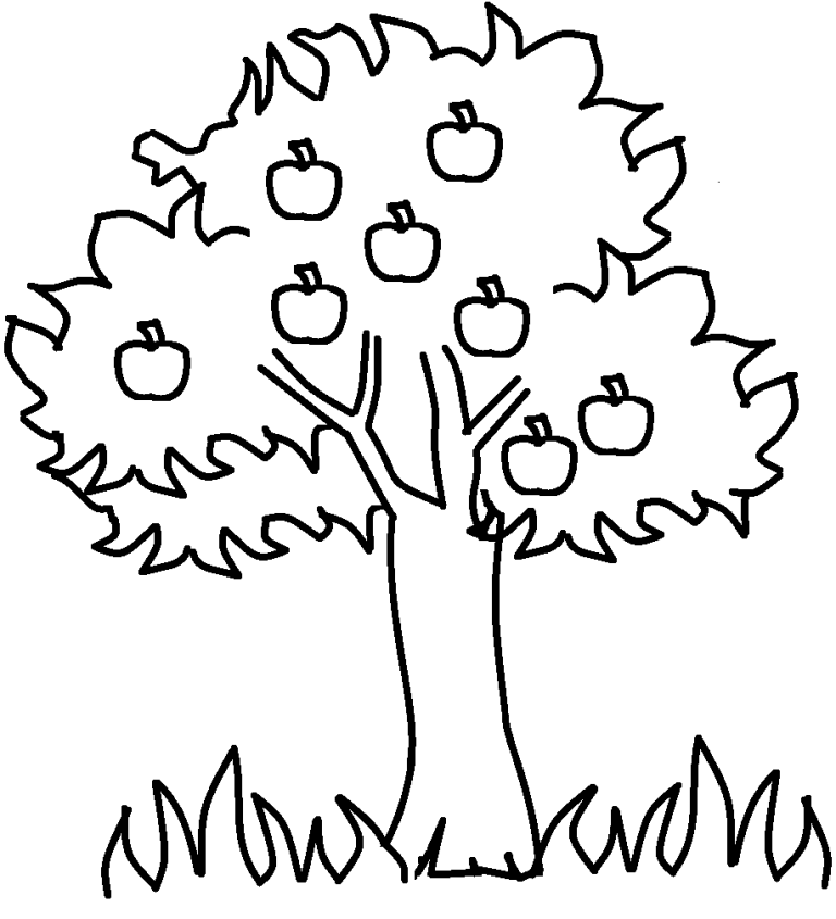 Apple Orchard Coloring Pages For Kids