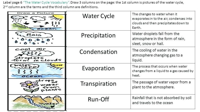 Carbon Cycle Diagram Worksheet Pdf