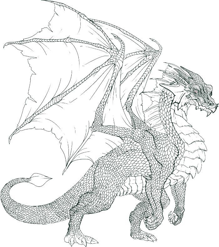 Advanced Realistic Dragon Coloring Pages