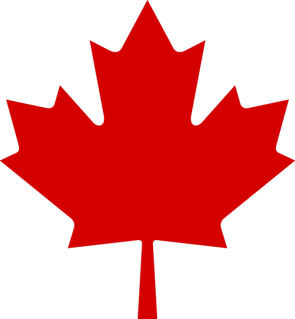 Canadian Maple Leaf Coloring Page