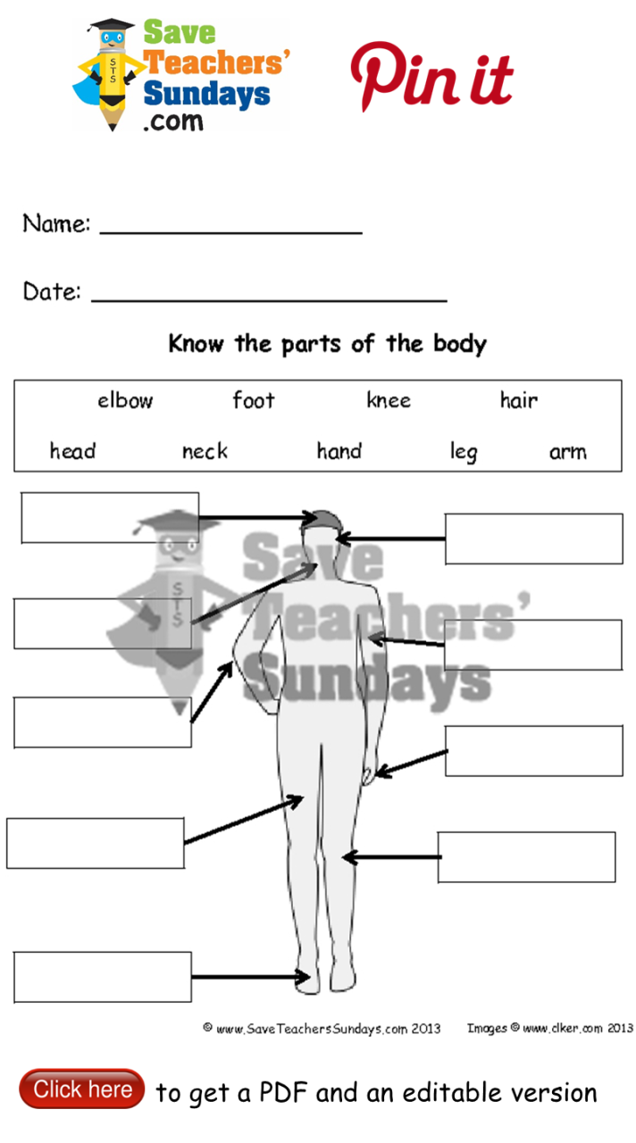 Science Worksheets For Grade 1 Body Parts Pdf
