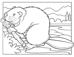 Preschool Beaver Coloring Page