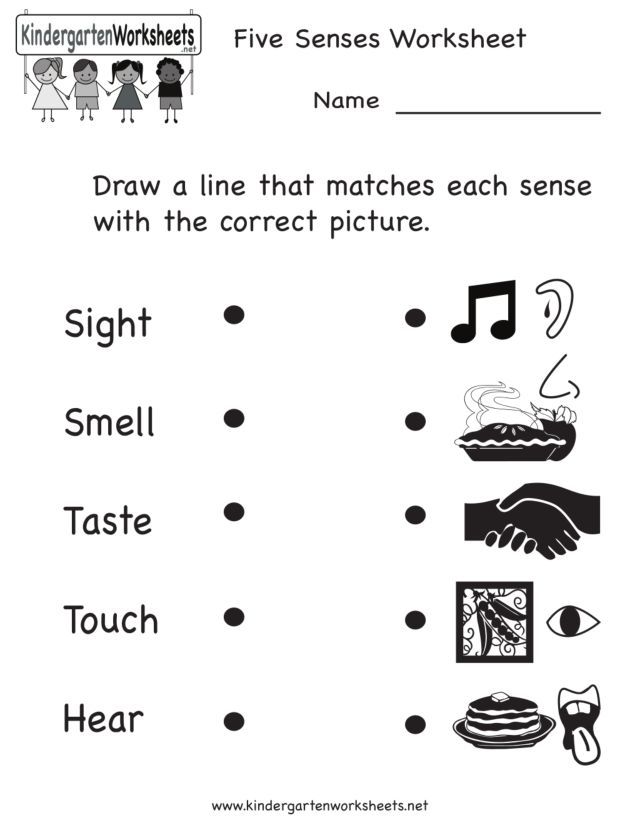 Five Senses Worksheet For Kids