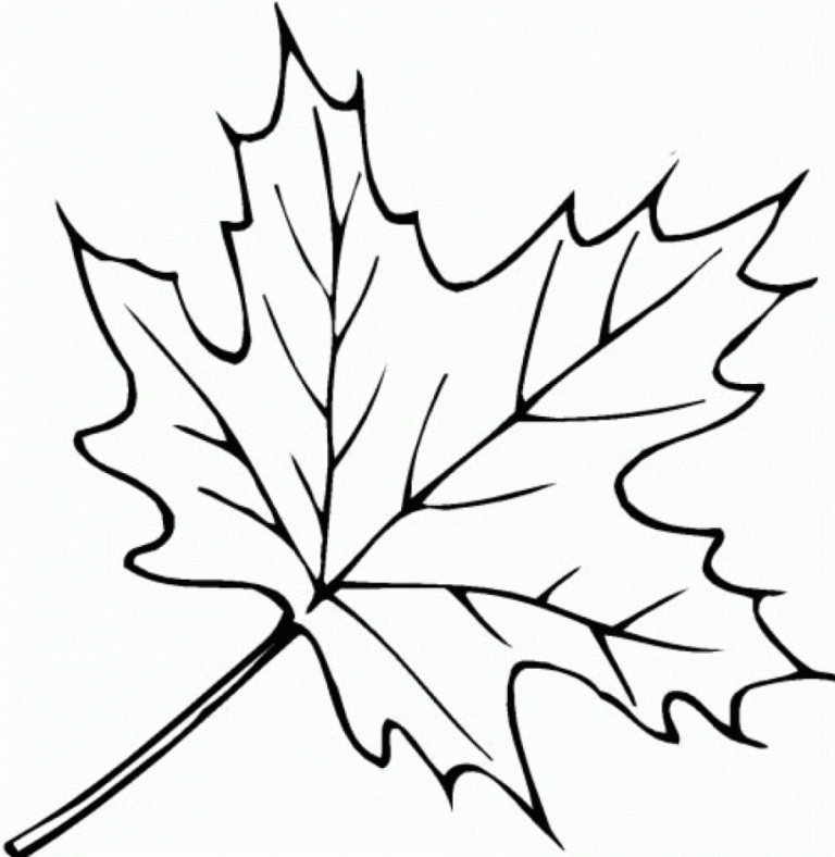 Easy Maple Leaf Coloring Page