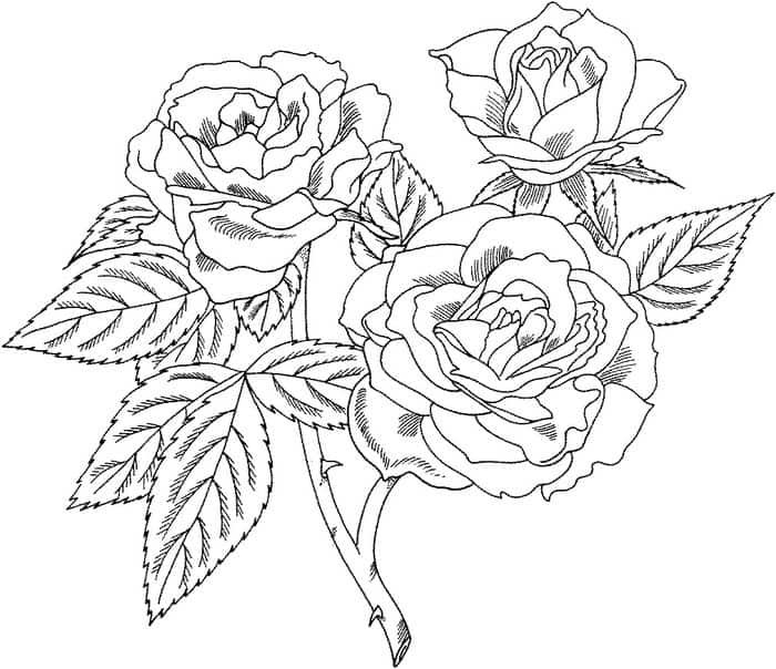 Coloring Pages For Girls Flowers Hard
