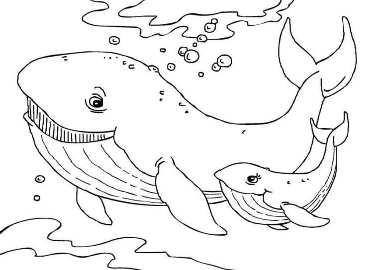 Whale Coloring Book