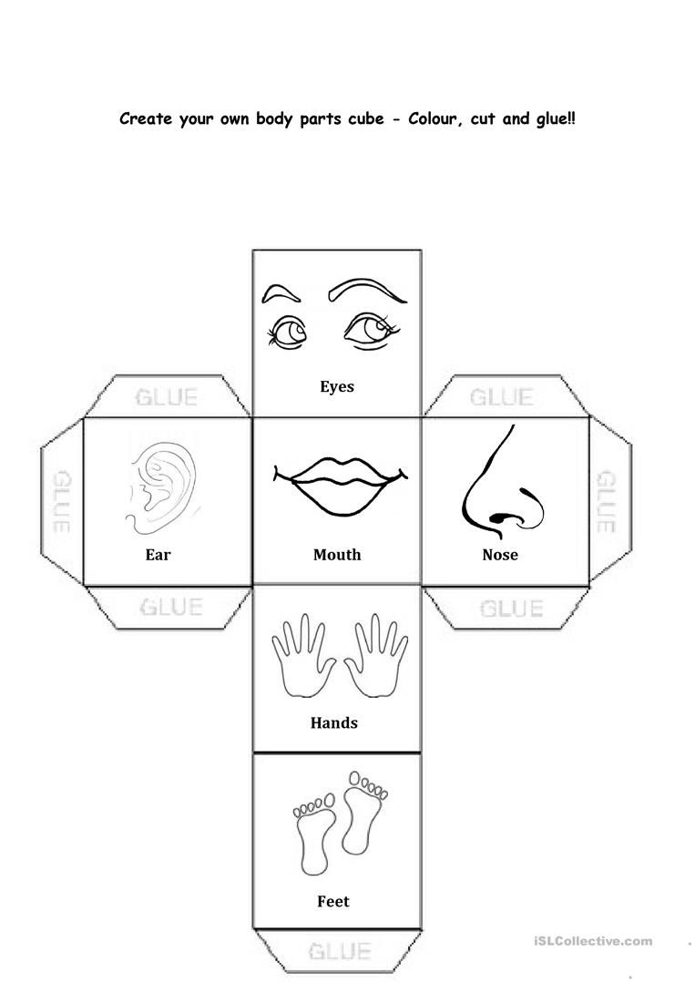 Worksheet Body Parts For Kids To Color
